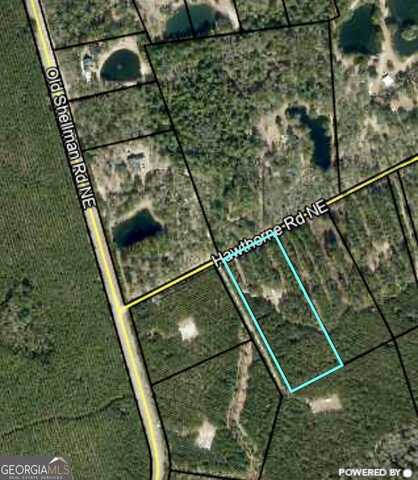 0 Hawthorne, Townsend, GA 31331