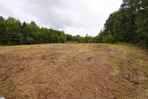 641 Ambling Gait Court, Campobello, SC 29322