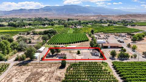 314 33 1/2 Road, Palisade, CO 81526