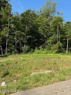 5309 Sycamore Ridge Ln, La Grange, KY 40031