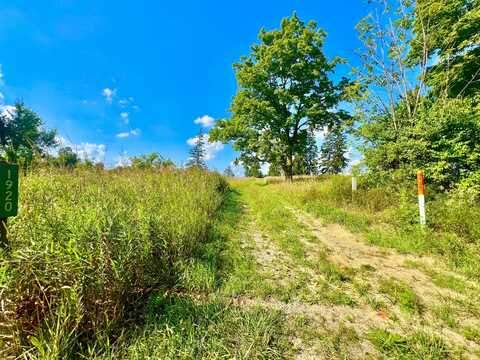 Dimmers Road, Reading, MI 49274