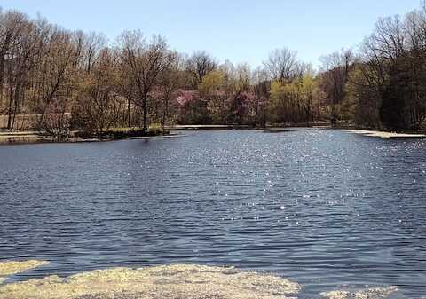 420 Lake Valley Drive, Seymour, MO 65746