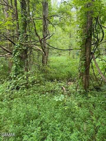 Lot 1 Timber Lake Drive, Cosby, TN 37722