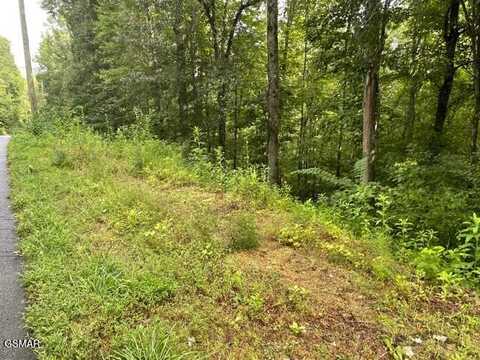 3407 Covemont Lane, Sevierville, TN 37862