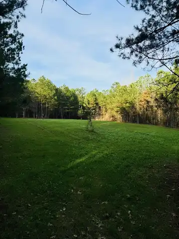 7155 Sturgis-West Point Rd, Sturgis, MS 39769