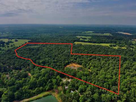 TBD Woodchuck Rd, Pittsburg, TX 75686