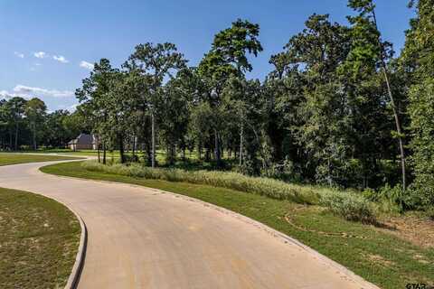 Lot 2 Deer Lake Lane, Bullard, TX 75757
