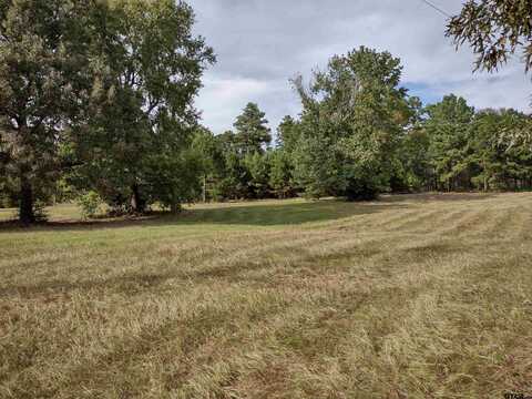 TBD CR 227, Arp, TX 75750