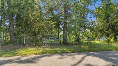 TBD CR 227, Arp, TX 75750