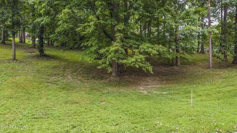 9412 Jim Loy Drive, Strawberry Plains, TN 37871