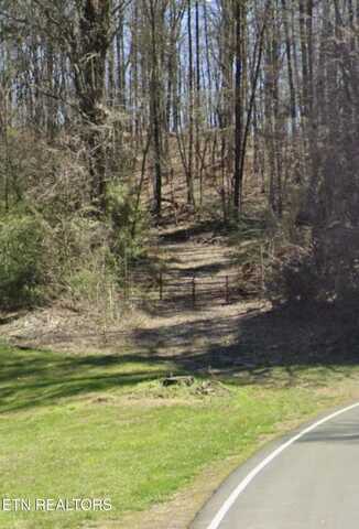 Beatys Chapel Rd, Tellico Plains, TN 37385