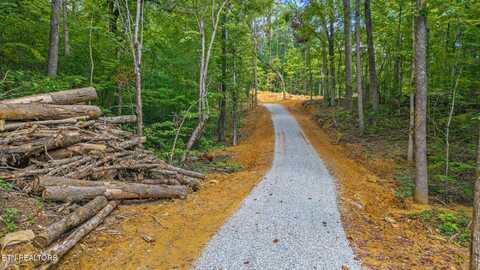 168 Beulah Road, Tellico Plains, TN 37385