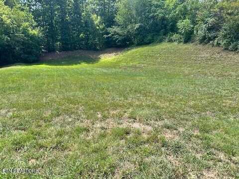 411 Laurel Ridge Lane, Knoxville, TN 37922