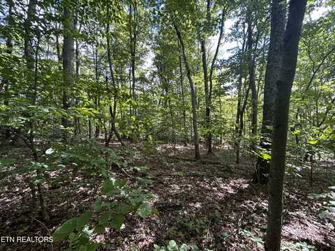 Lots 5&6 Clint Williams Rd, Rutledge, TN 37861