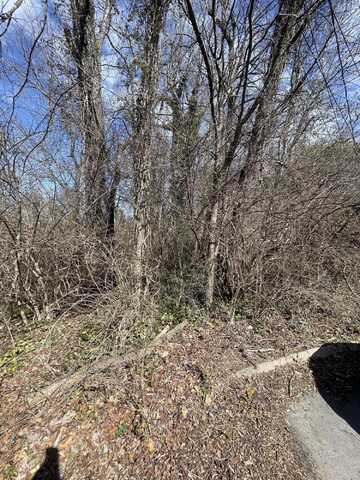 Lot 100 Geneva Circle, Morristown, TN 37813