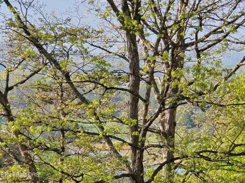 Tbd Boatmans Mountain Road, Morristown, TN 37814
