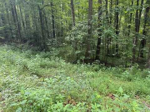 Lot 2 Timber Lake Drive, Cosby, TN 37722
