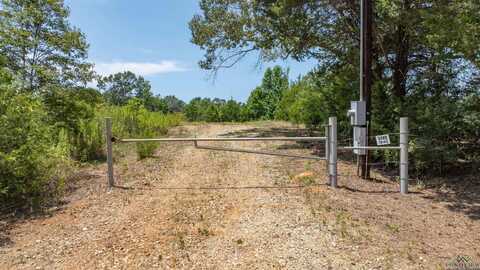 5149 CR 413, Tyler, TX 75704