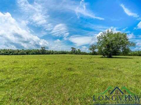 Tbd FM 2659, Hawkins, TX 75755