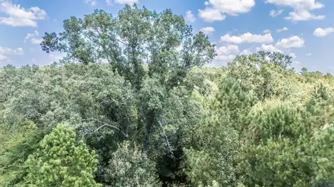 Tbd Carmel Road, Jefferson, TX 75657
