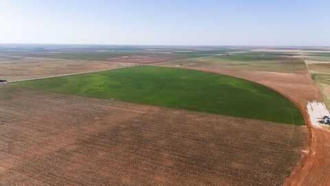 385 South us 385, Seagraves, TX 79359