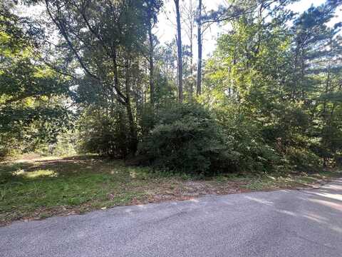 PID 33186 Duffer Drive, Brookeland, TX 75931