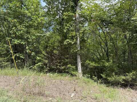 00 Ray Dean Dishman Road, Monticello, KY 42633