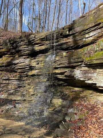 9999 Ohler Branch Lot 1 Road, East Bernstadt, KY 40729