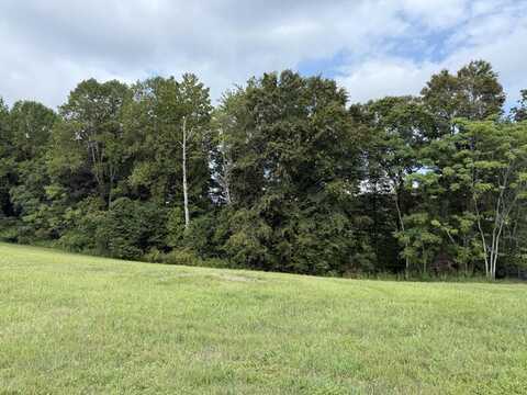 Stillwater lot: 92, Russell Springs, KY 42642