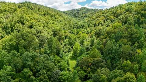 0 Woolum Disappointment Hollow Road, Girdler, KY 40943