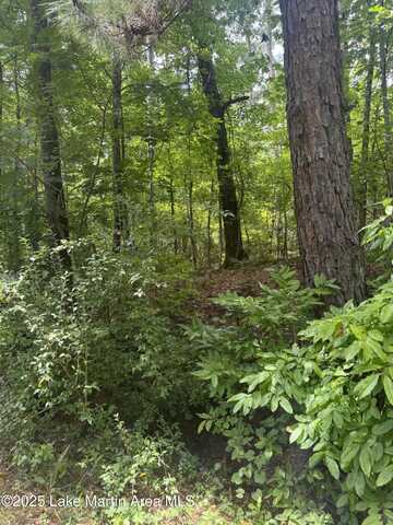 Old Dark Rd, Alexander City, AL 35010