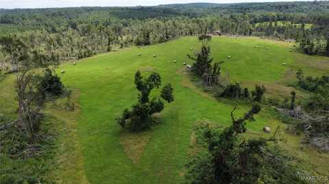 3751 Butter and Egg Road, Troy, AL 36081
