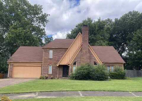7876 WINOAK, Memphis, TN 38119