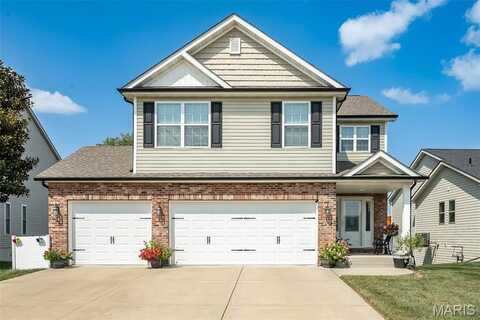 1338 Orchard Lakes Circle, Belleville, IL 62220
