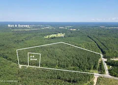 Nhn N Hwy 43 N, Poplarville, MS 39470