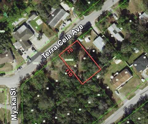 12338 TERRA CEIA AVENUE, NEW PORT RICHEY, FL 34654