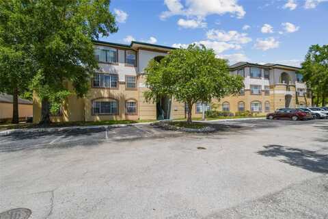 17108 CARRINGTON PARK DRIVE, TAMPA, FL 33647