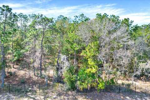 HONEYCREEPER ROAD, BROOKSVILLE, FL 34614
