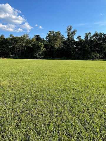 12705 MCINTOSH GROVES LANE, THONOTOSASSA, FL 33592