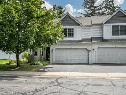 227 Spring Point Drive, Carpentersville, IL 60110