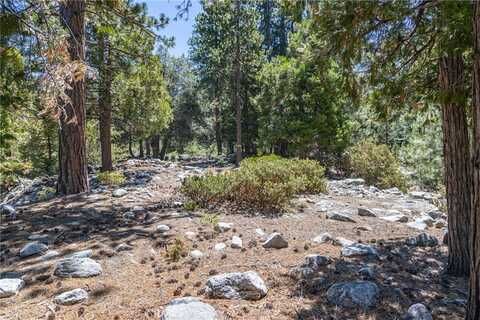 0 Quercus Drive, Forest Falls, CA 92339