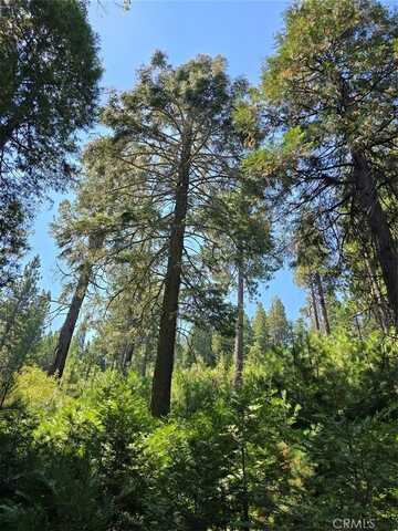0 Lovers Lane, Cedarpines Park, CA 92322
