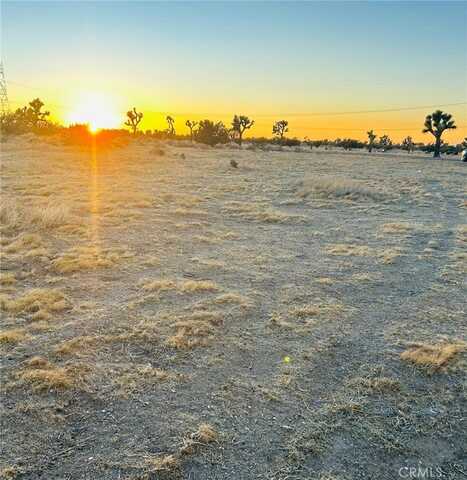 4 Two Mile Road, Joshua Tree, CA 92252