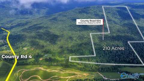 210 Acres County Road 604, Hollytree, AL 35751