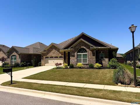 106 Summer Walk Lane, Harvest, AL 35749