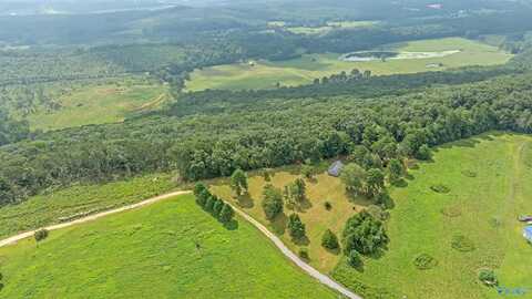 14698 Alabama Highway 117, Henagar, AL 35971