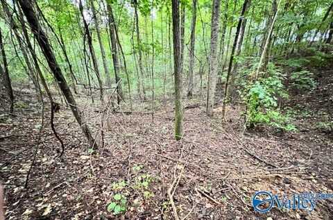 3.78 Acres Flicker Way, Athens, AL 35614
