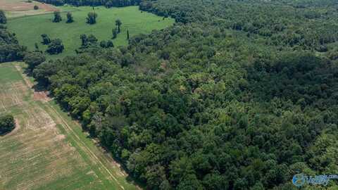4 Acres Carters Gin Road, Toney, AL 35773