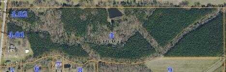 211 CR 445, Oxford, MS 38655