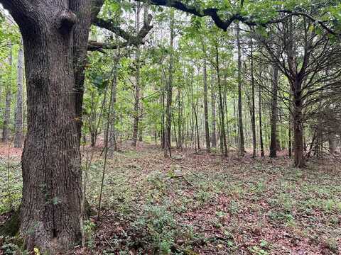 300 Timberwood Road, White, GA 30184